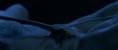 /album/orli/bscap0335-jpg/